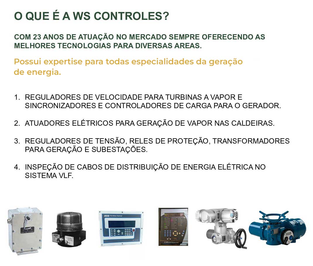 WS Controles manutenção e reparo em reguladores, reles, controladores e governadores de velocidade em Campinas, SP.
